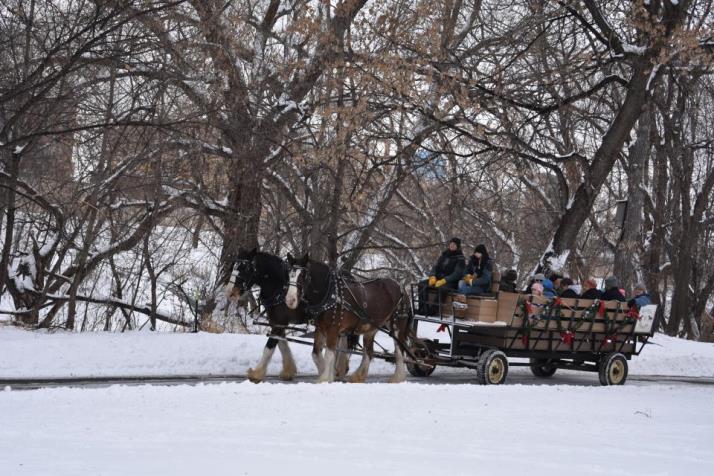 Sleigh Rides