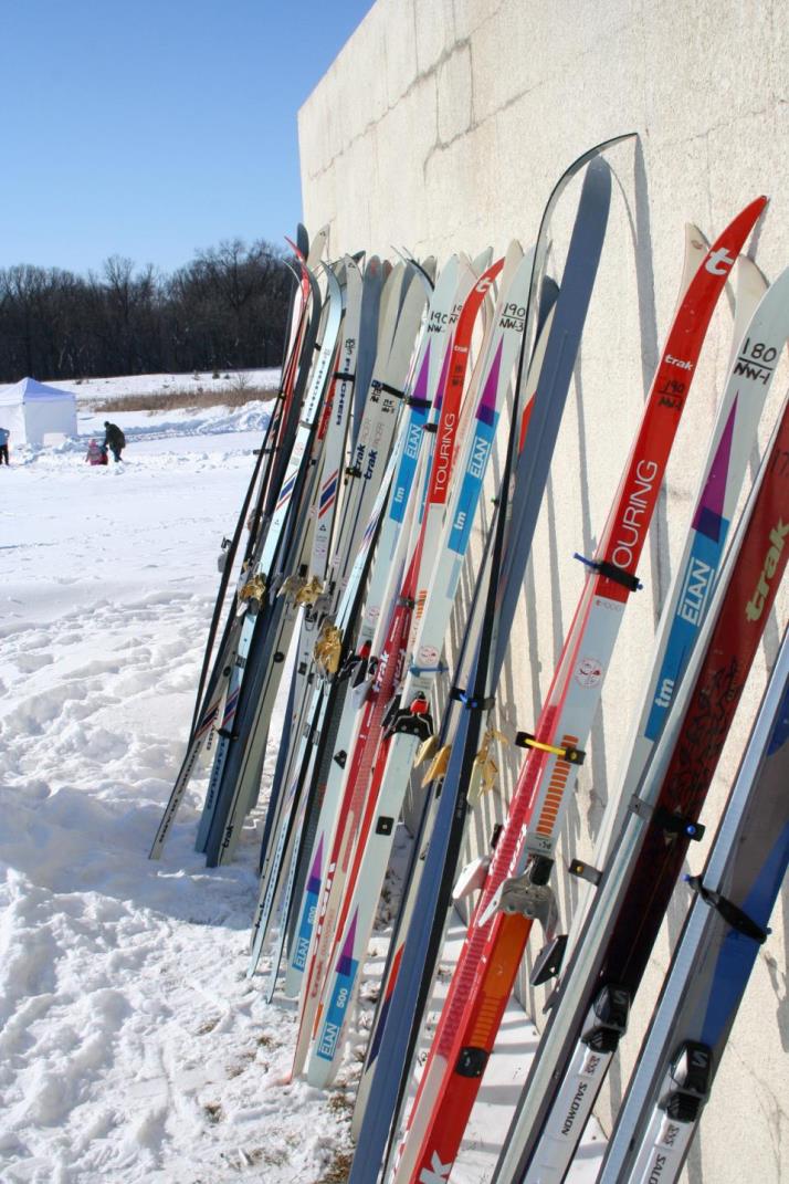 wall of skis