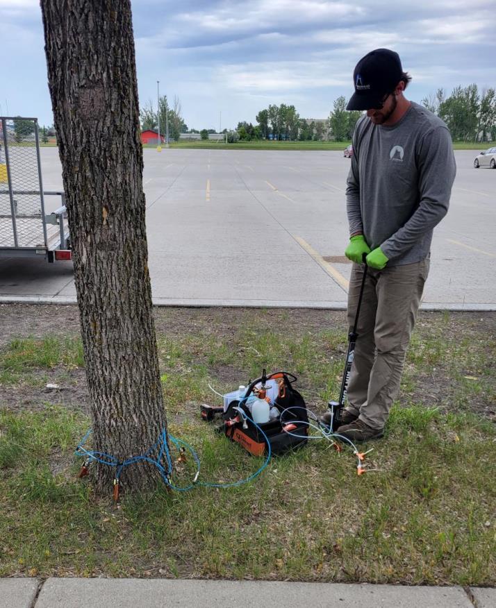 EAB Treatment Photo1