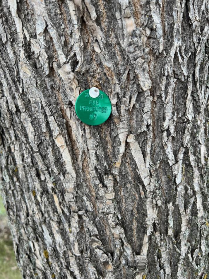 EAB Treatment Tree Tag